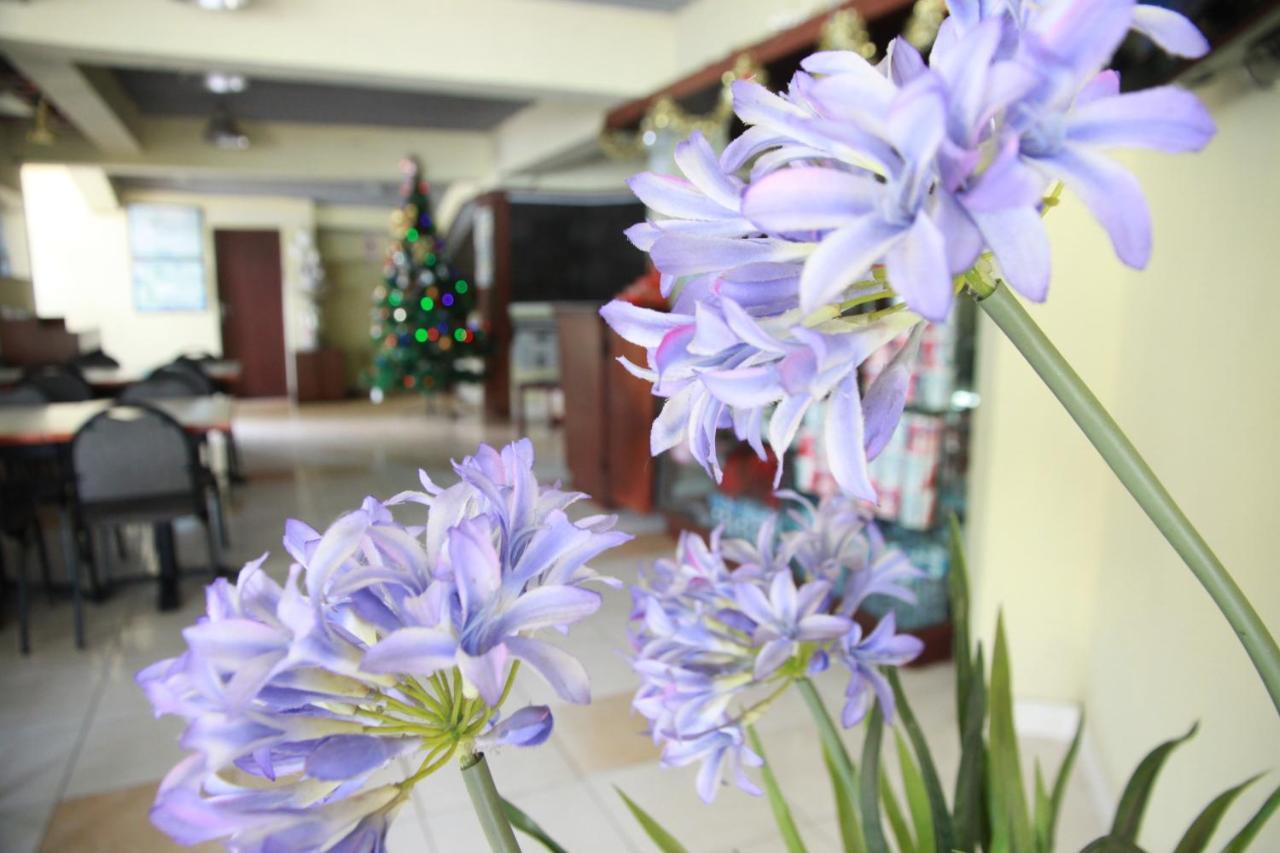 Pandu Lakeside Hotel Parapat Esterno foto